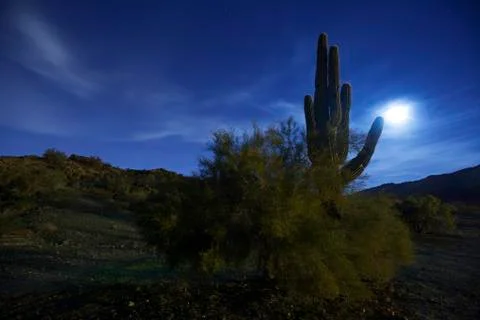 DESERT FULL MOON Stock Photos