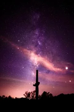 Desert Galaxy 库存照片