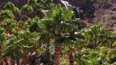 Desert Golf Course Waterfall in Las Vegas Video stock 77110797