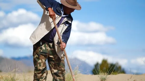 Desert, good fields, rural revitalization, rural, Mu Us Desert, Video stock 243098016