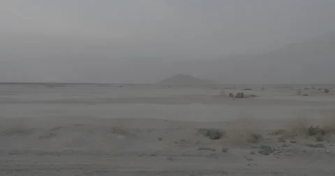 Desert Ground Stock Footage 168212366