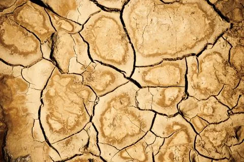 Desert ground Stock Photos