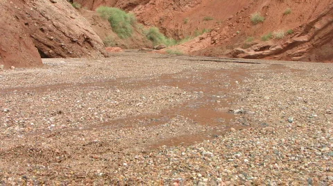 Desert gully first rain Stock Footage 573472