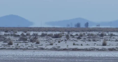 Desert Heat Stock Footage 45299829