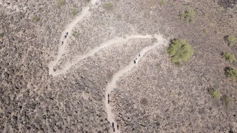 The desert hike Stock Footage 196760059