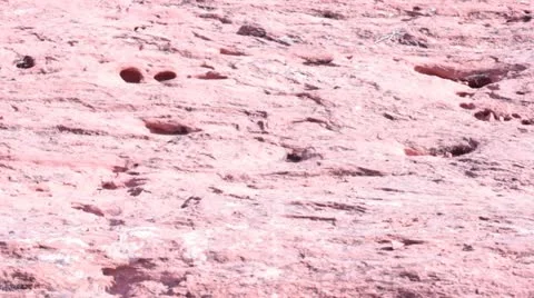 Desert hikers Stock Footage 22359790