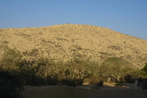 Desert hill Stock Photos