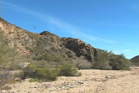 Desert hills and trees Stock Footage 281828