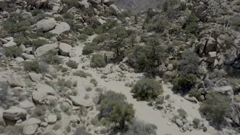 Desert Hills 動画素材 157518551