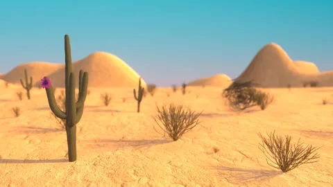 Desert on a hot day with a cactus in the foreground. Looping 4K animation. Stock Footage 269669529