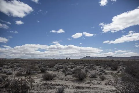 Desert II Stock Photos