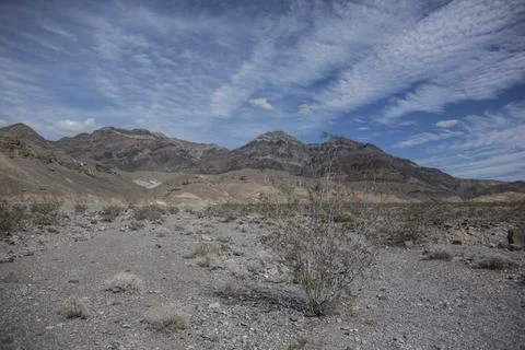 Desert III Stock Photos