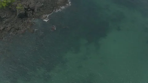 Desert Island with Beach Stock Footage 140334196