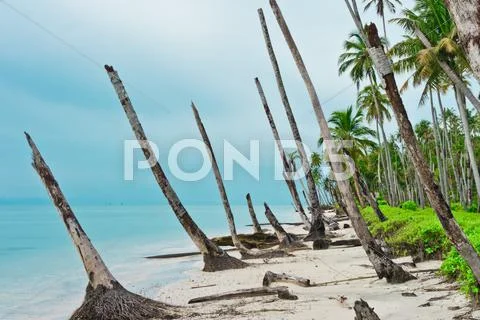 Desert island coastline after tsunami Stock Photos