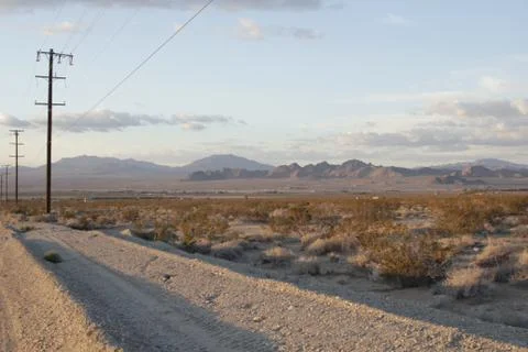 Desert - Joshua Tree7 스톡 사진