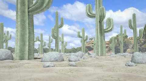 Desert Journey Stock Footage 20474835