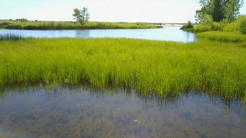 Desert lake Stock Footage 91745697