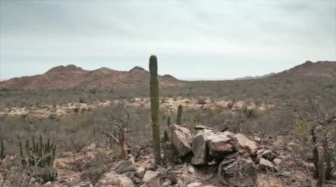 Desert Land Stock Footage 10817901