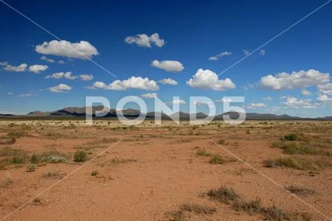 Desert Land Stock Photos