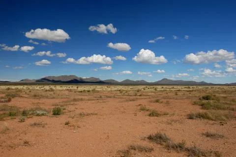 Desert Land Foto stock