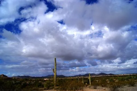 Desert land scape Stock Photos