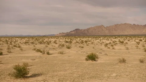 Desert landscape 1 Stock Footage 72634451