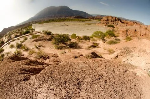 Desert landscape 5 Stock Photos