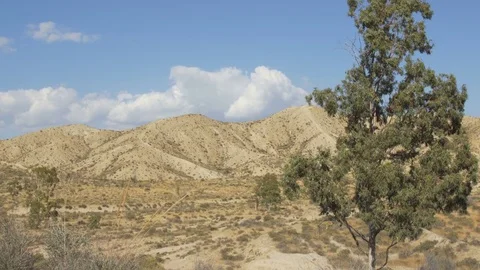 Desert landscape with the beautiful clouds Stock Footage 81504262