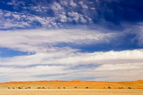 Desert landscape beneath dramatic blue and white sky at the edge of the namib Foto stock