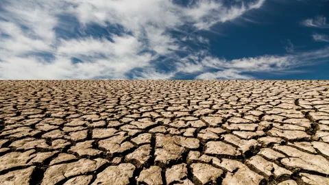 Desert landscape with cracked earth Stock Footage 100524503