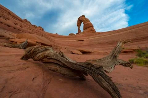 Desert landscape delicate arch Stock Photos
