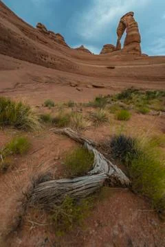 Desert landscape delicate arch Stock Photos