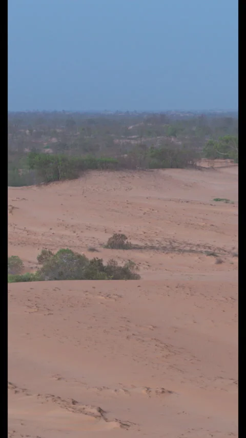 Desert Landscape Driving Arid Environment Wide - Vertical (9:16) Stock Footage 322550394