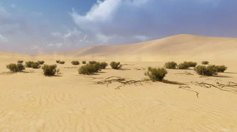Desert landscape with dry plants. Time lapse Stock Footage 46597041