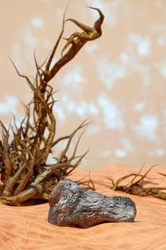 Desert landscape with a dry tree, rocks, and a cloudy sky. Stock-Illustration