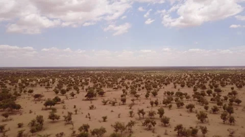 Desert Landscape Expansive Arid Terrain Aerial - Ungraded Stock Footage 322544896