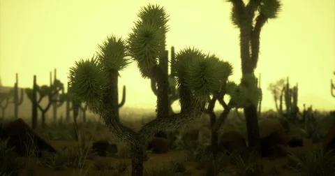 Desert landscape featuring unique flora under a hazy yellow sky at dusk Illustrazione stock