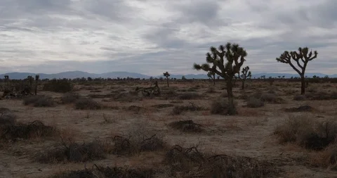 Desert Landscape Stock Footage 87482710