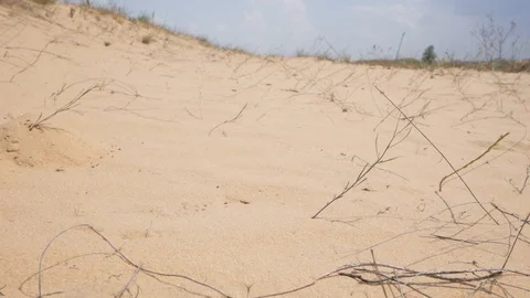 Desert landscape Stock Footage 95537264