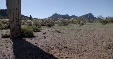 Desert landscape Stock Footage 102592333