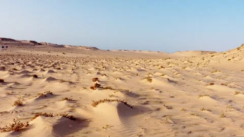 The desert landscape Stock Footage 247797496