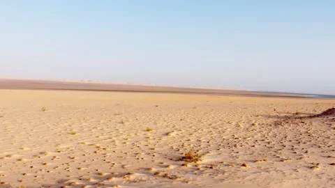 The desert landscape Stock Footage 247797498