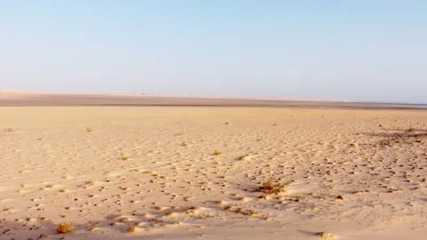 The desert landscape Stock Footage 247797499