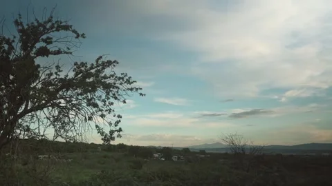 A Desert Landscape Stock Footage 315080968