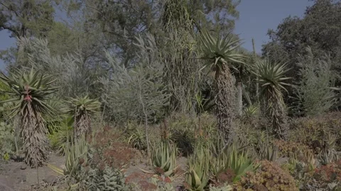 Desert landscape 動画素材 347905886