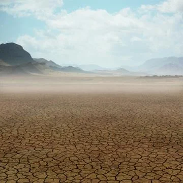 Desert landscape Stock Illustration