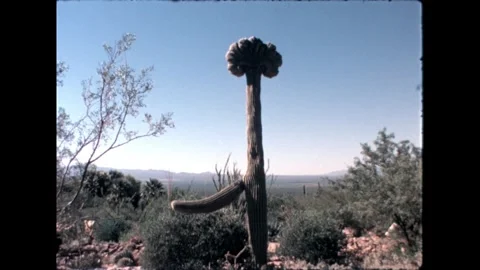 Desert Landscape with Mountains Stock Footage 276290468