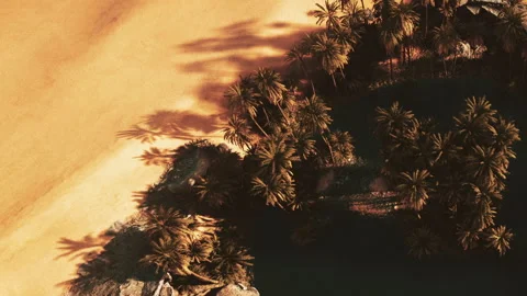 Desert landscape with palm trees and a body of water during sunset Stock Footage 345014255
