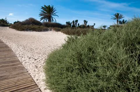 Desert landscape Stock Photos