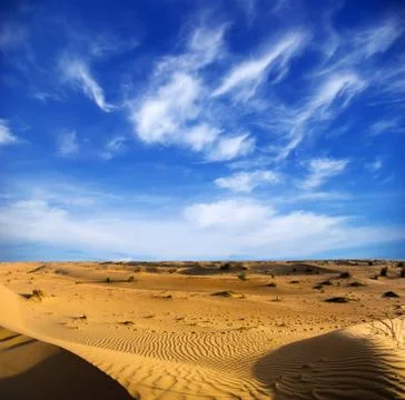 Desert landscape Stock-Fotos